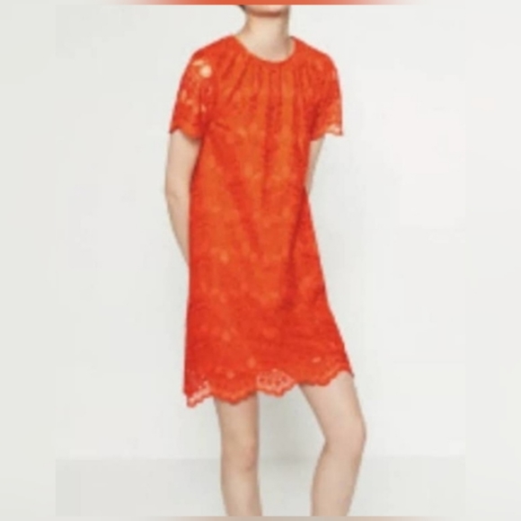 Zara Crochet/Lace Dress - Picture 1 of 12